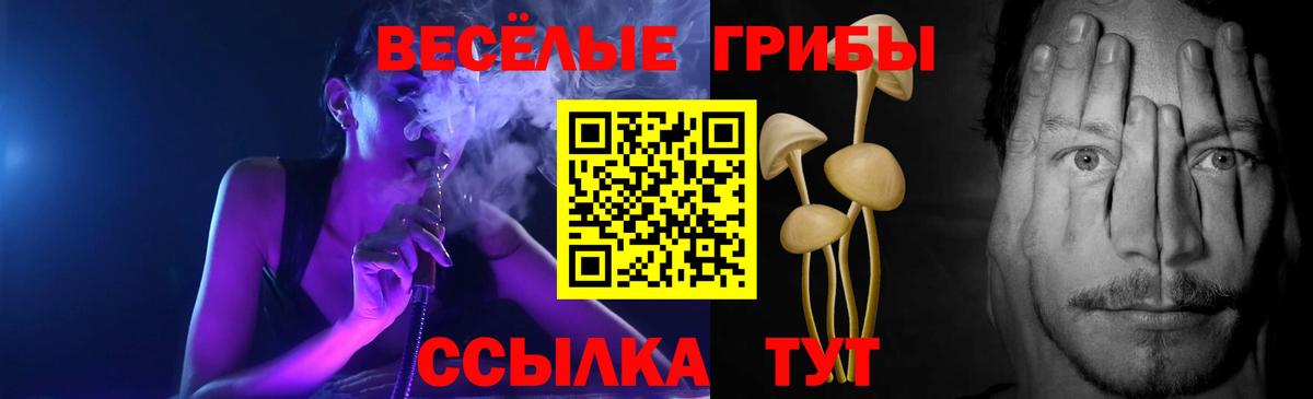 Псилоцибиновые грибы Psilocybine cubensis  Вход с VPN  Барнаул 